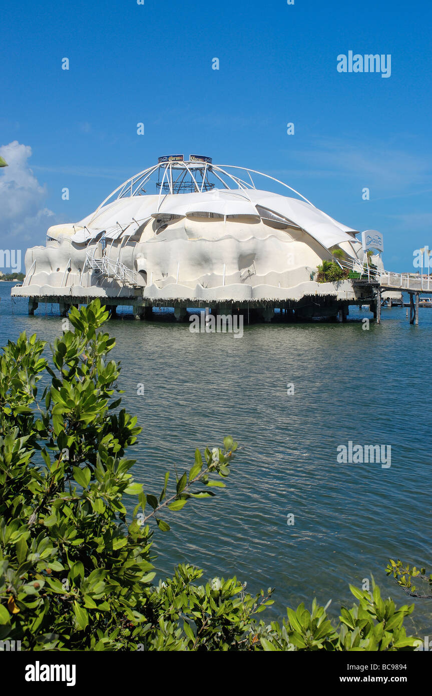 Discotheque Basic fun famous meeting Point at Cancun Caribe Quintana ...