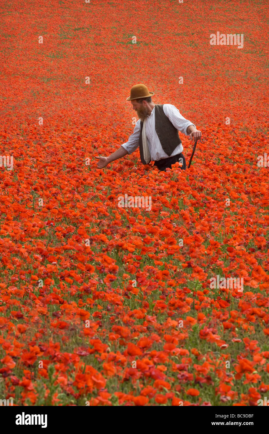 A  farmer in a field of poppies on the South Downs in Sussex England. The flowers are a blaze of scarlet on a hot June day. Stock Photo