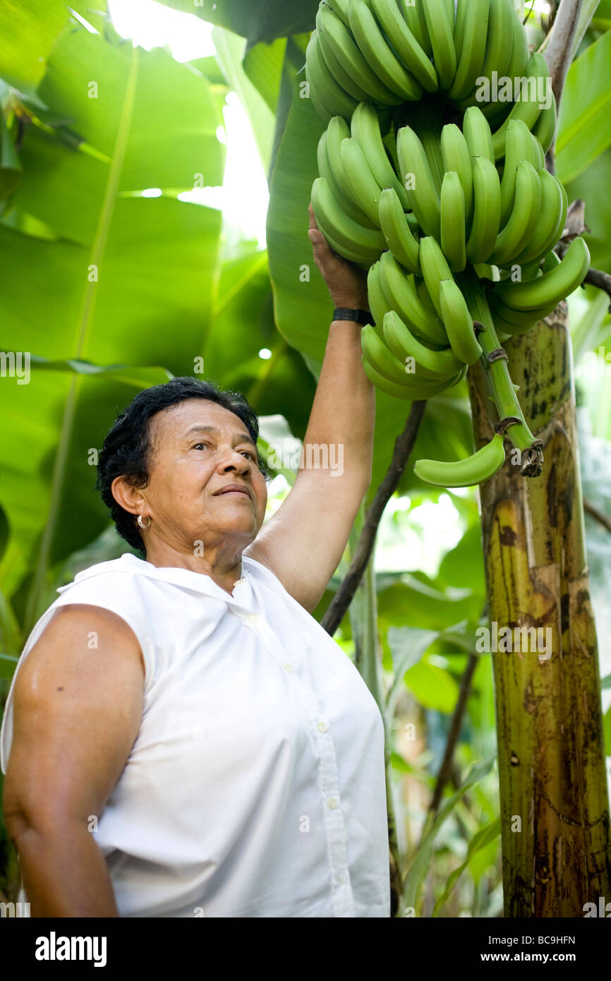 Fair trade banana farmer, Dominican Republic, near border with Haiti. Stock Photo