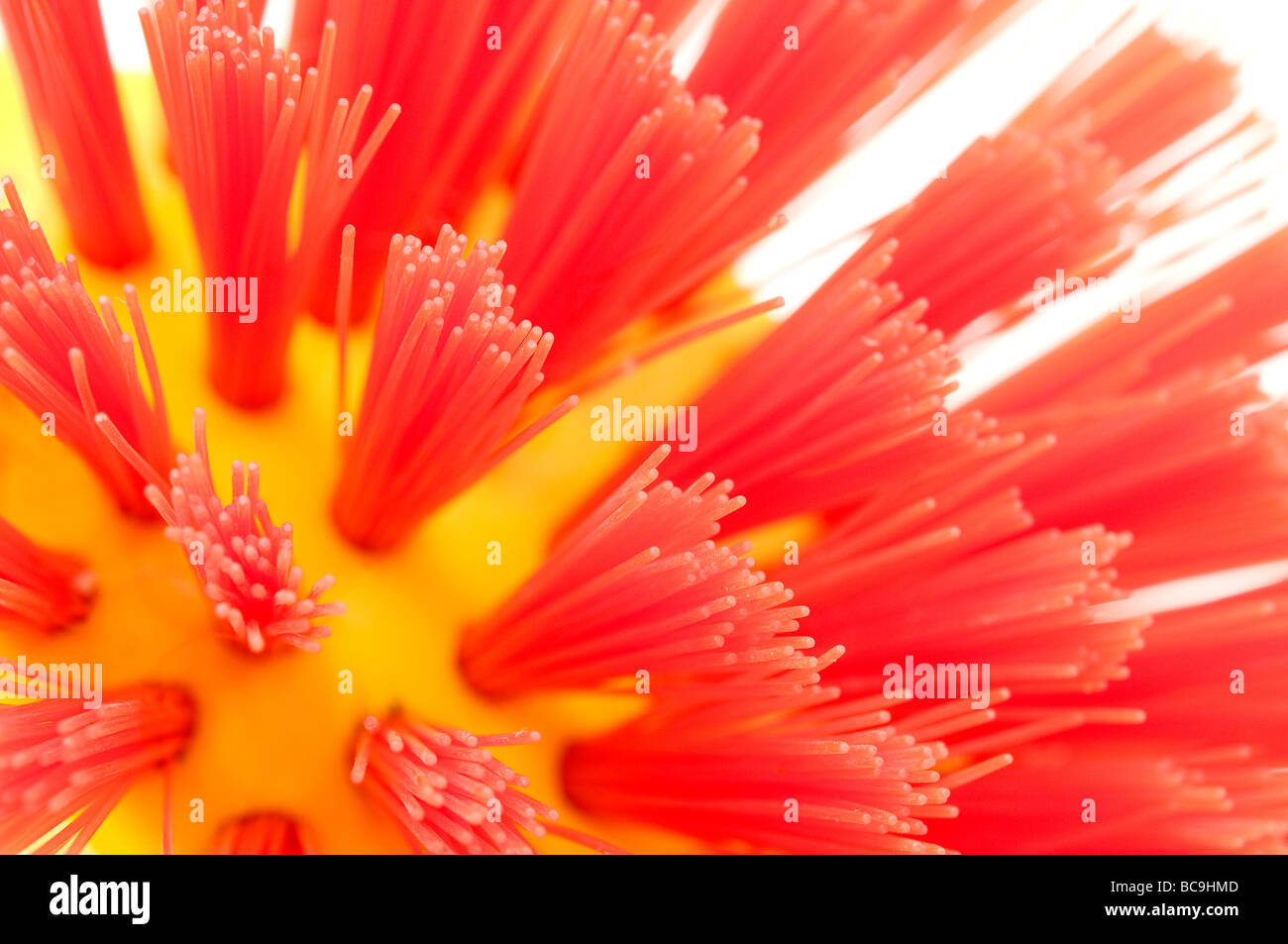 Macro of some synthetic coloured bristles Stock Photo