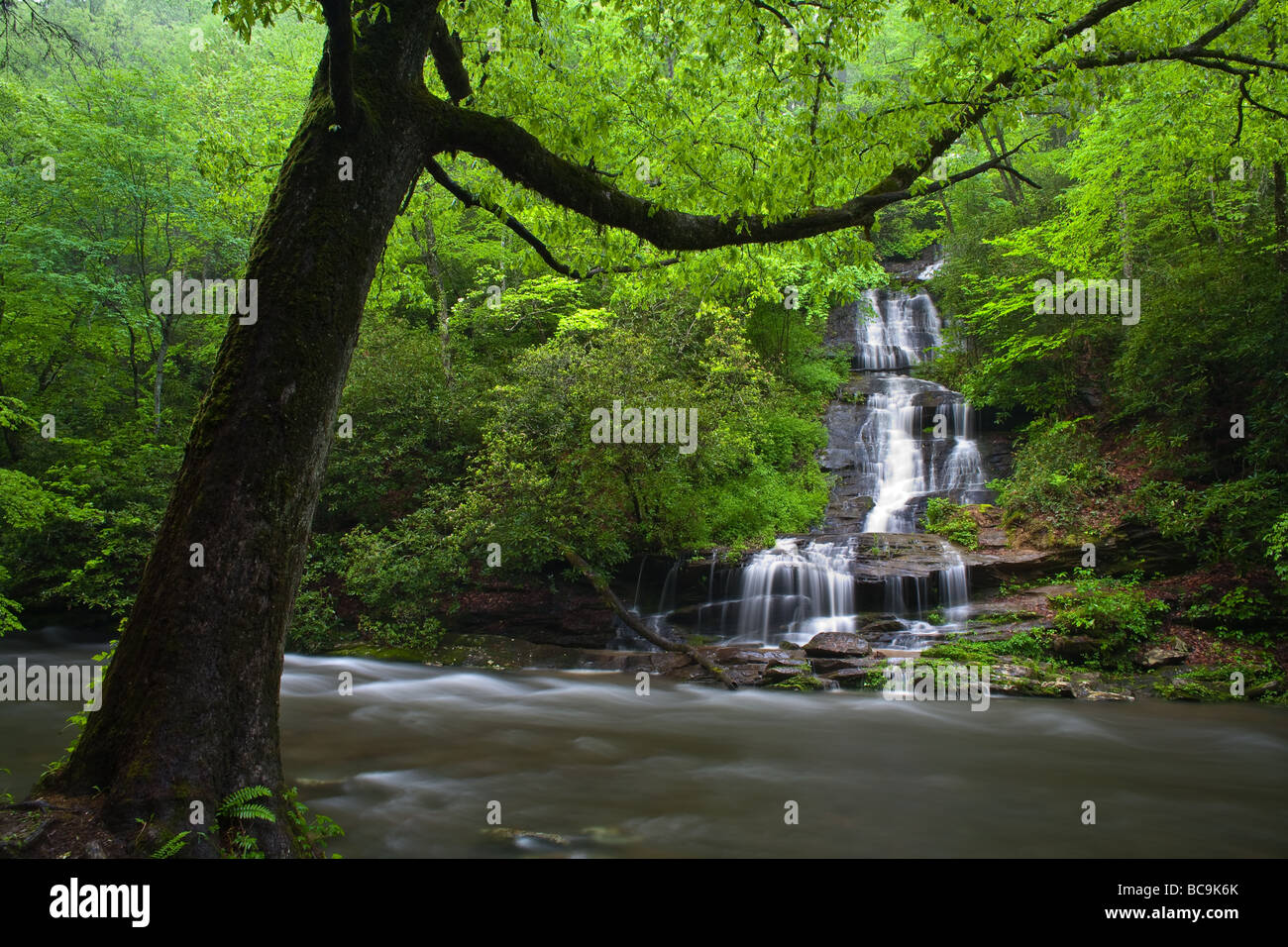 Tom's Branch Falls are located in the Deep Creek Campground area outside Bryson City, North Carolina.  They are approximately 30 feet in height and fall into Deep Creek. Stock Photo