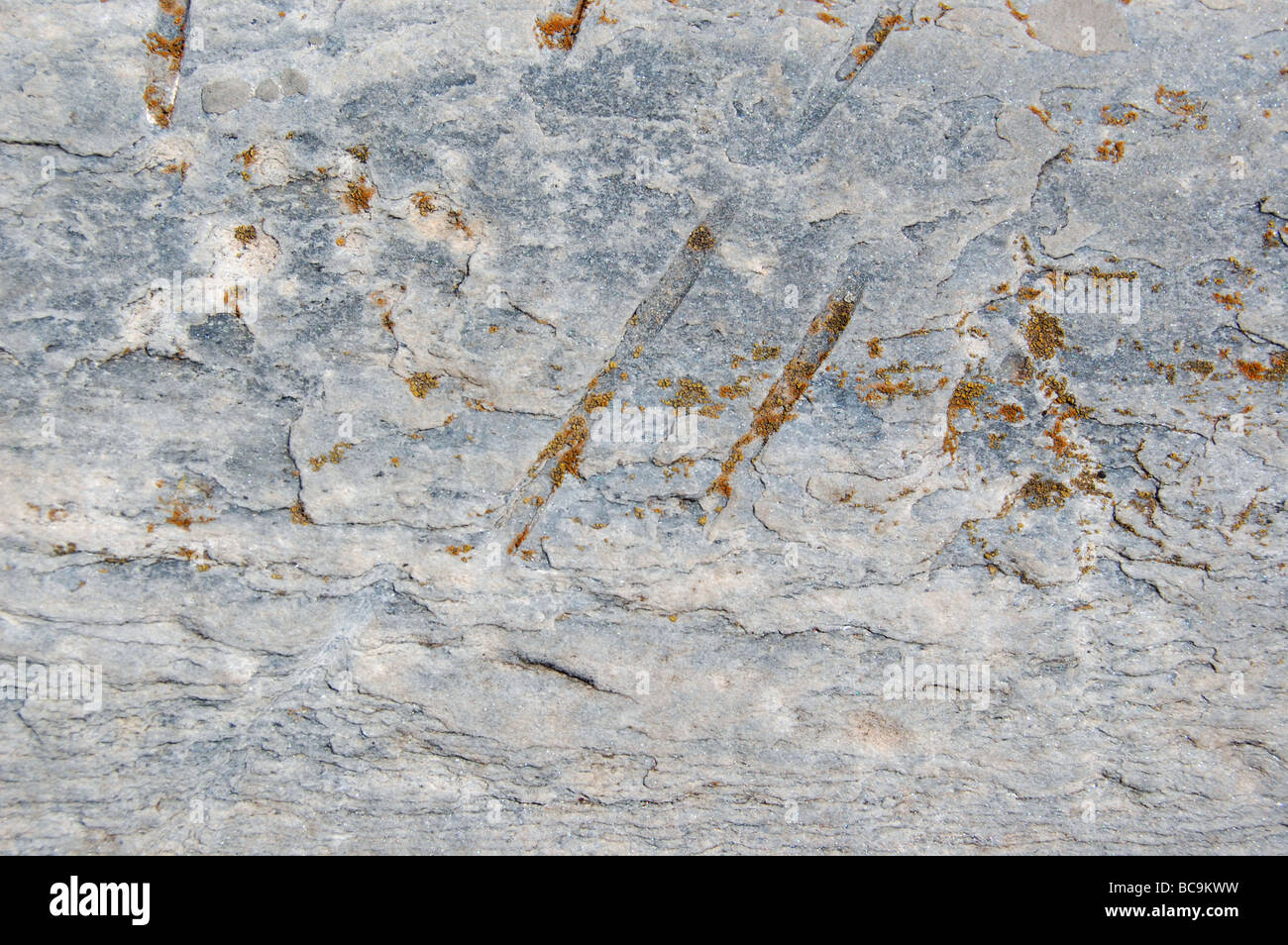 Granite marble column detail. Abstract background texture Stock Photo