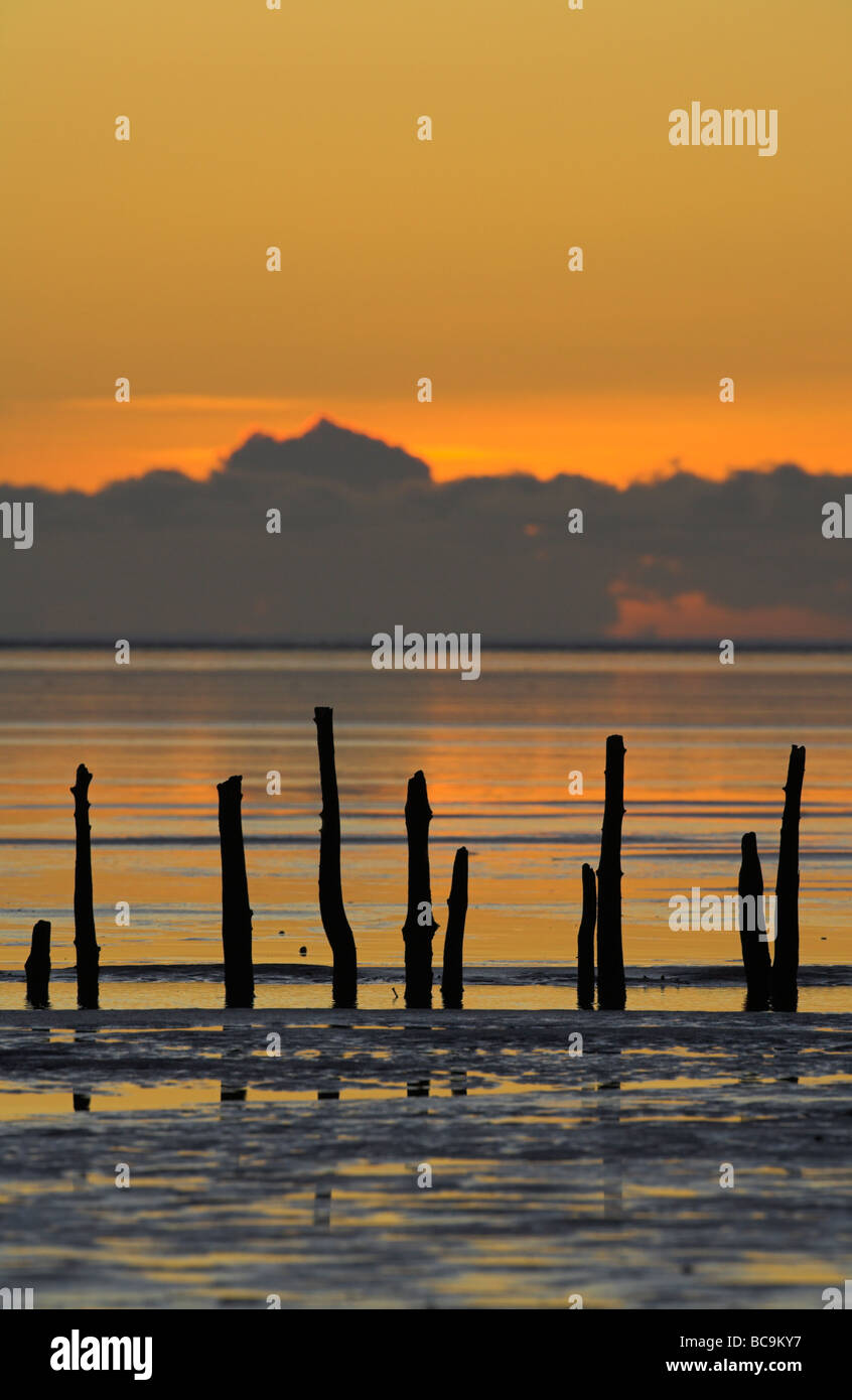 Solway Firth at sunset with wooden posts in foreground, Dumfries & Galloway in December. Stock Photo