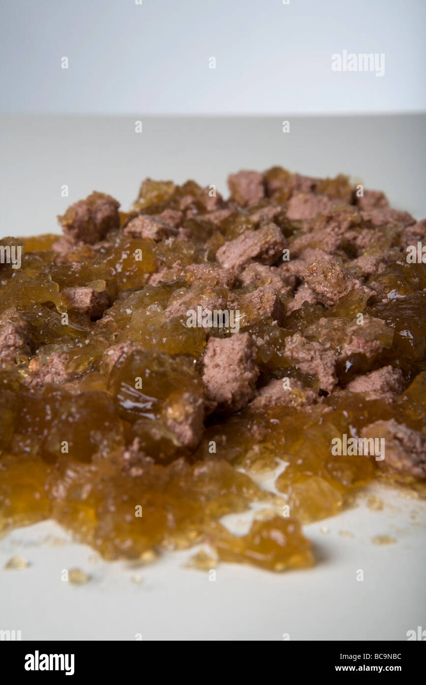 pet pride dog food walmart