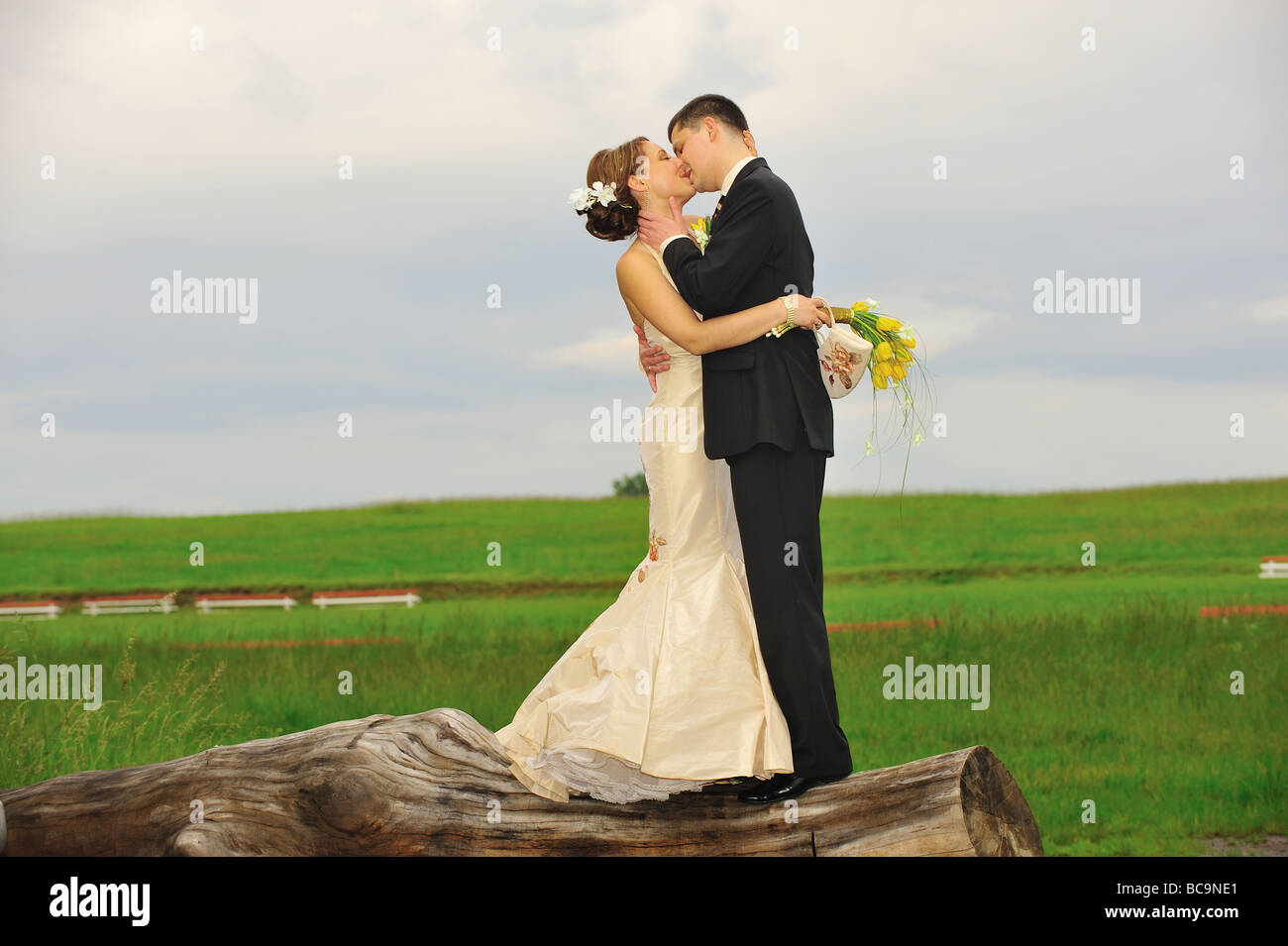 Wedding Couple, people, happy, portrait, Stock Photo