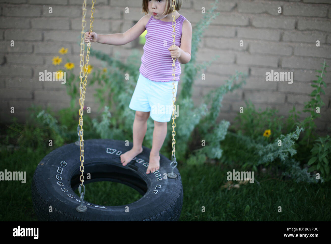 Young girl standing on tire swing Stock Photo