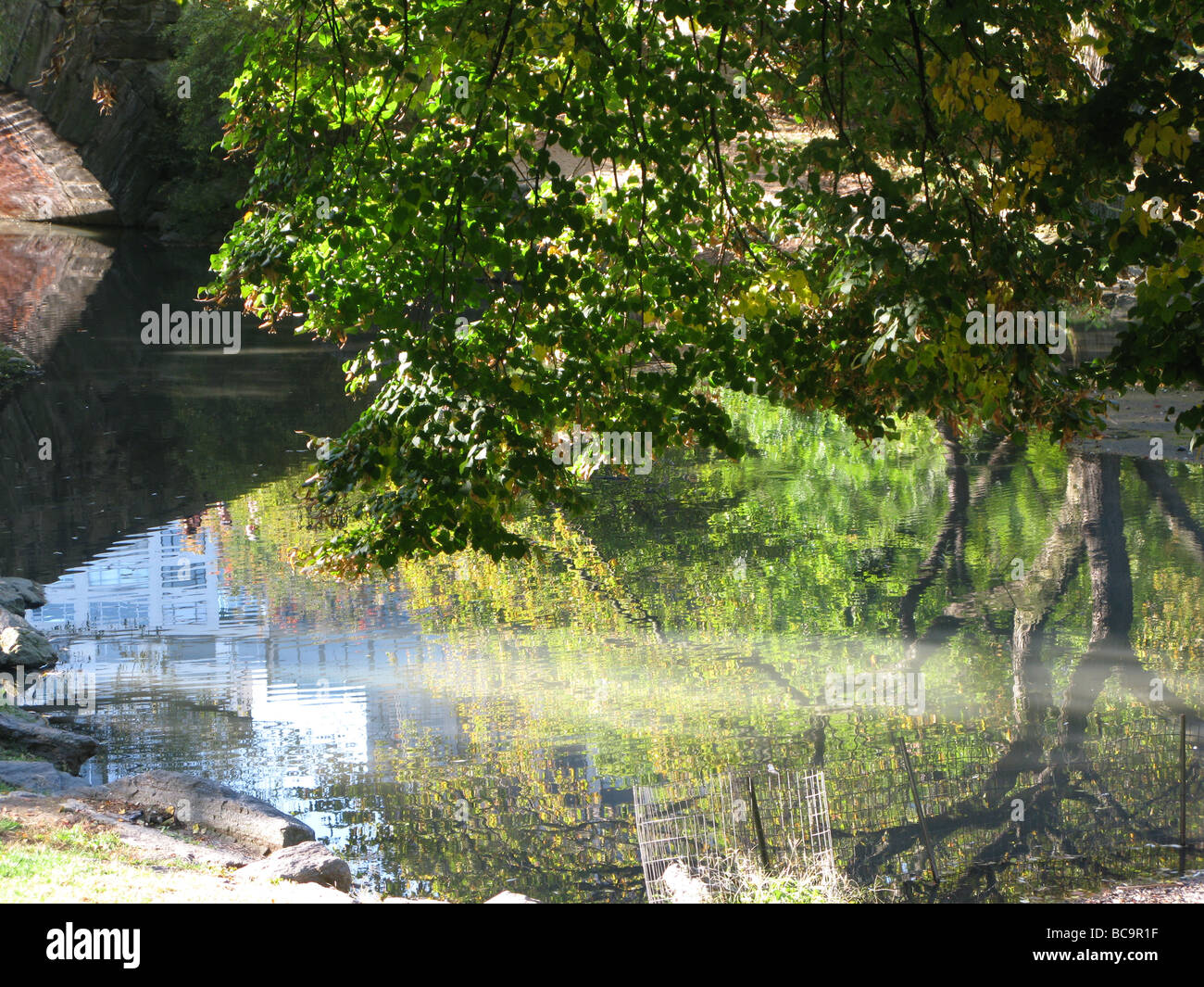 Pond and bridge in Central Park, NYC Stock Photo