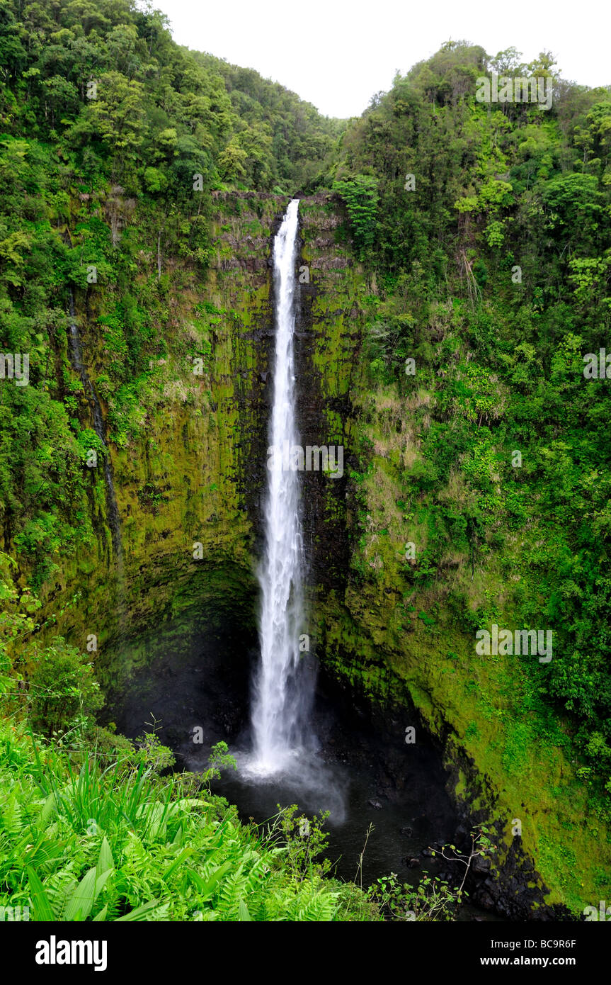 The Akaka Falls, Hawaii, USA. Stock Photo