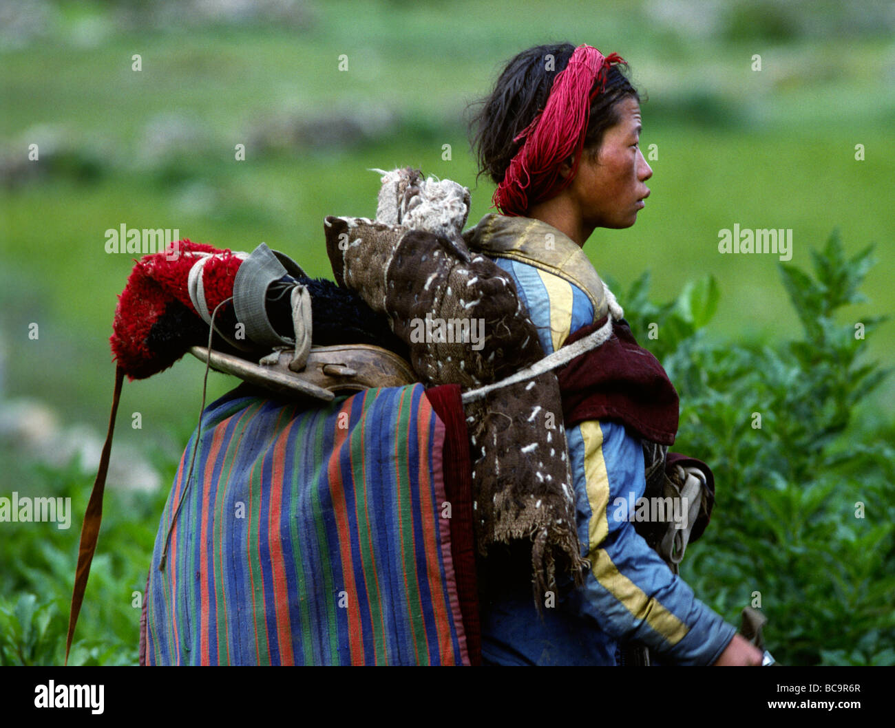 A TIBETAN KHAMPA nomad carries a horse SADDLE on his back in the DO