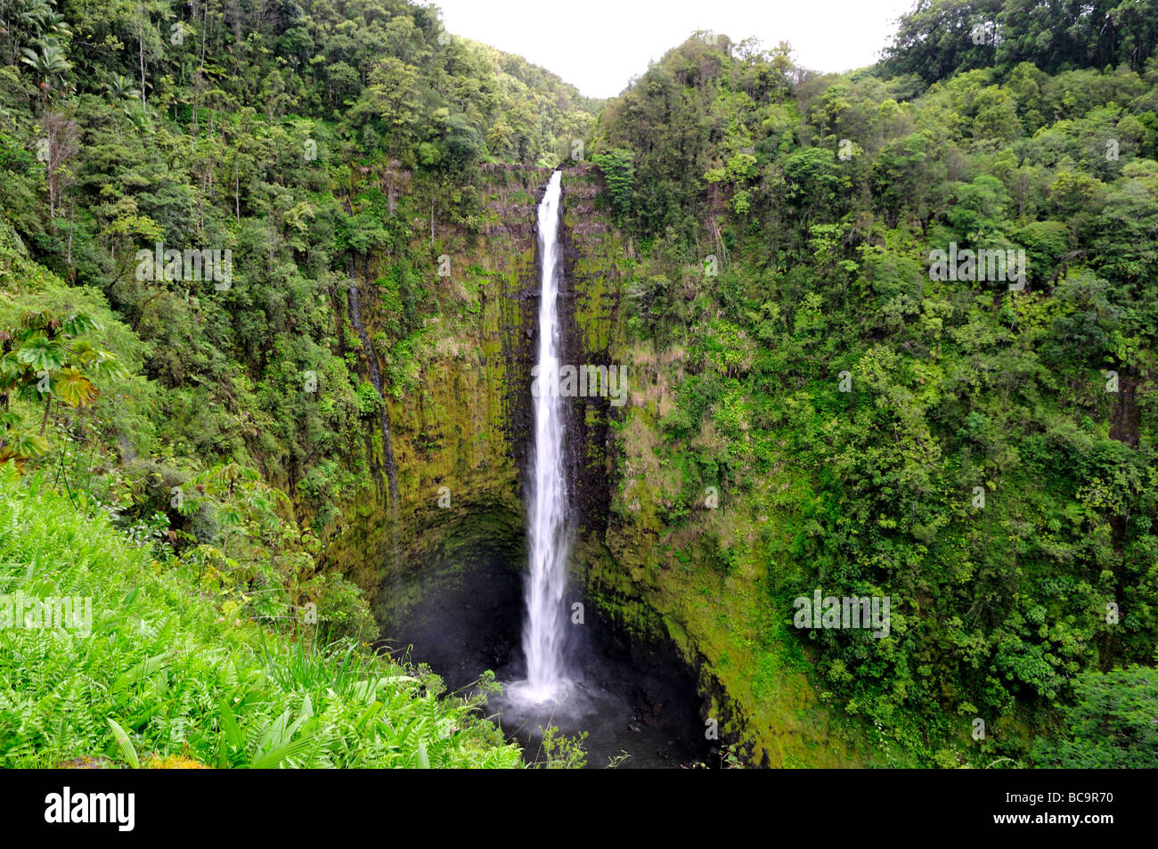 The Akaka Falls, Hawaii, USA. Stock Photo