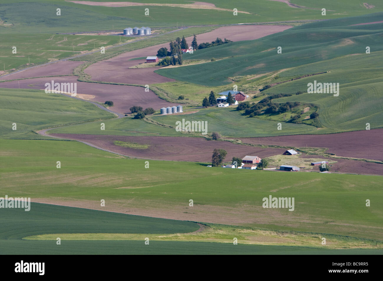Palouse Country Farms from Steptoe Butte, Southeastern Washington State. Stock Photo