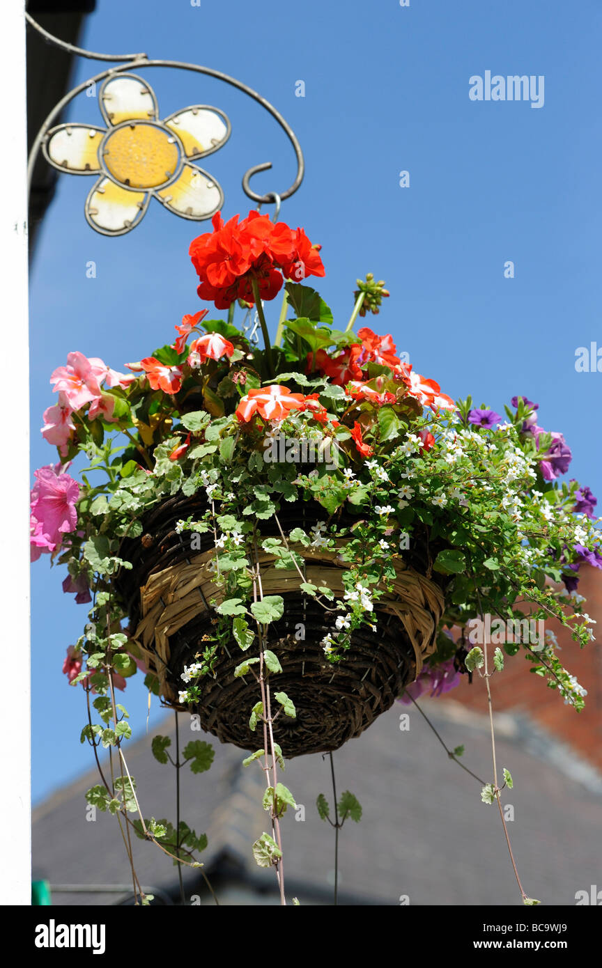 Hanging basket hi-res stock photography and images - Alamy
