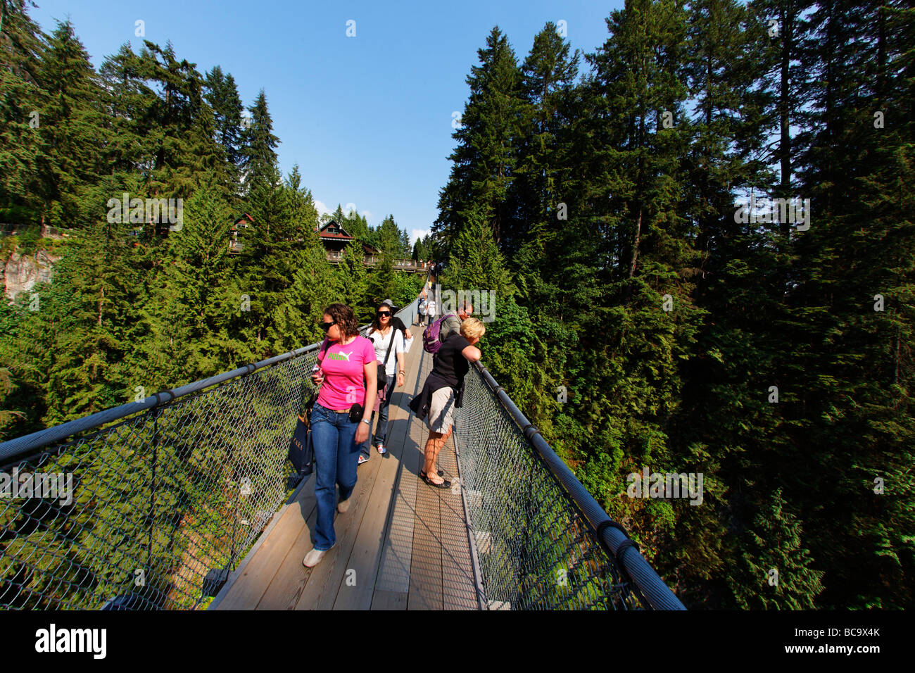 Lynn Canyon Capilano Suspension Bridge Vancouver Canada North America