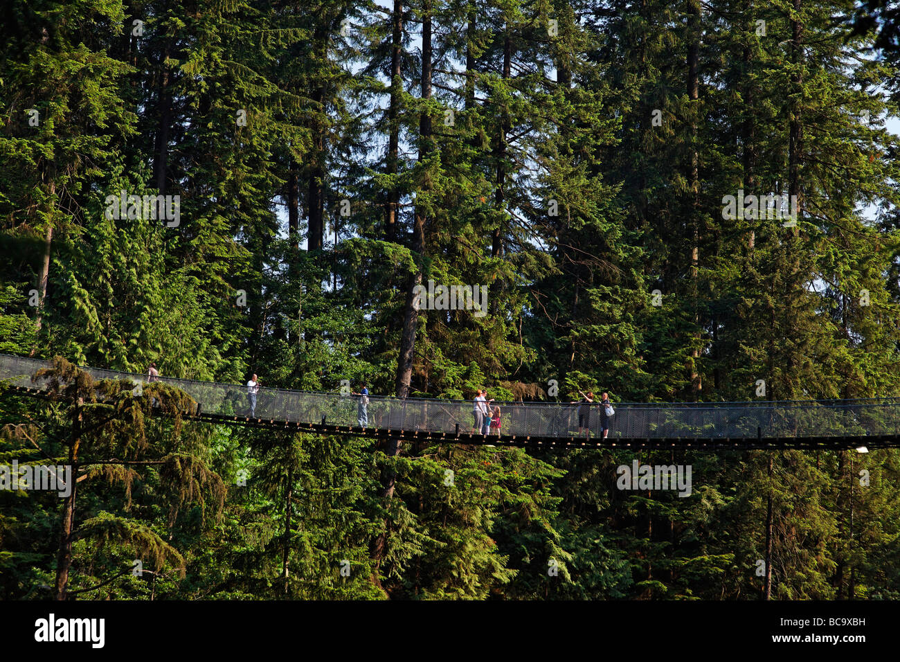 Lynn Canyon Capilano Suspension Bridge Vancouver Canada North America