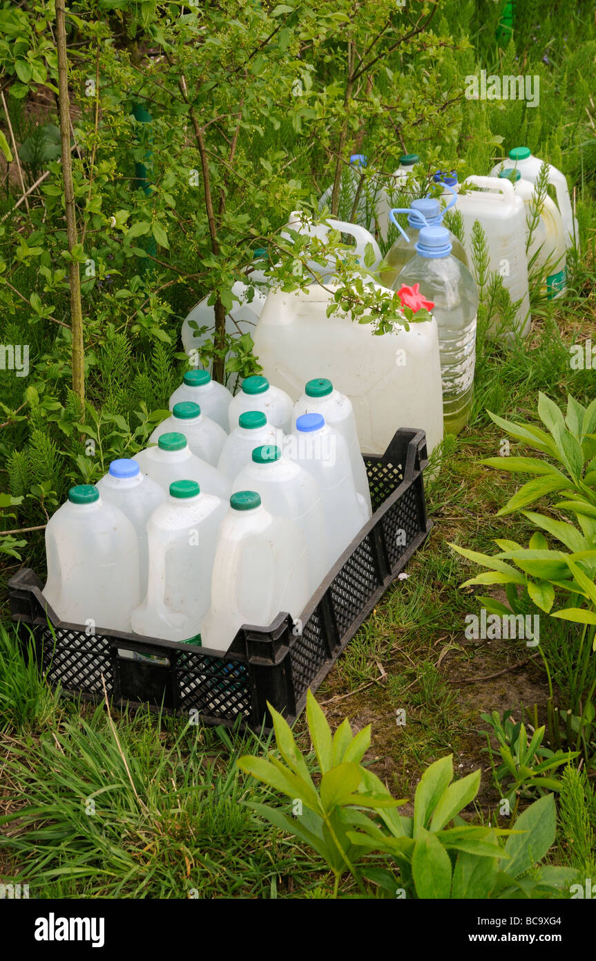 Bottles of water for plant watering in corner of allotment UK May Stock Photo