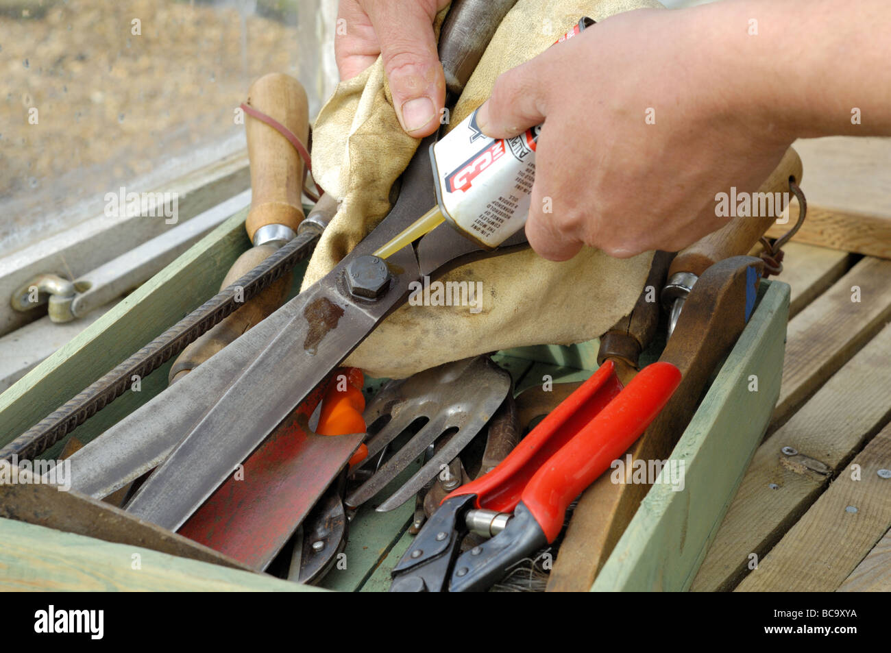Garden hand tools being oiled in early spring Norfolk UK March Stock Photo