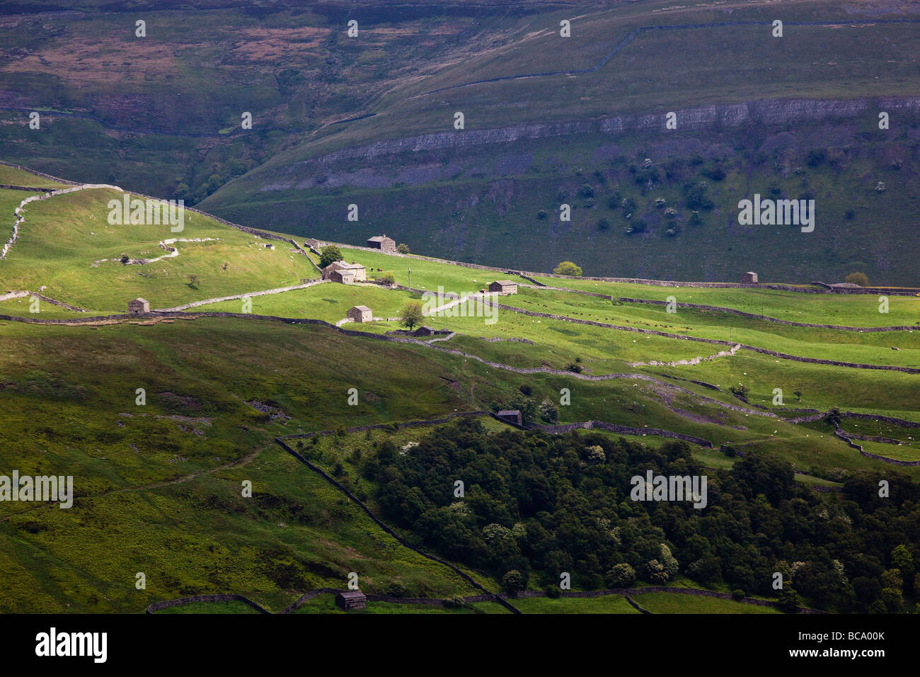 Swaledale barns and stone walls near Thwaite Yorkshire Dales National Park Stock Photo