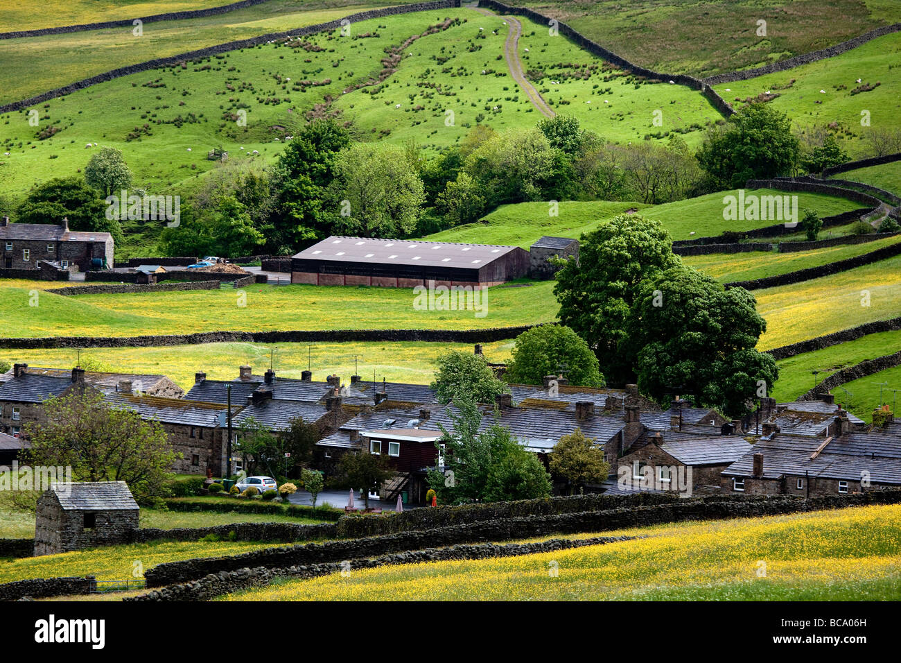 Thwaite Yorkshire Dales National Park Stock Photo Alamy