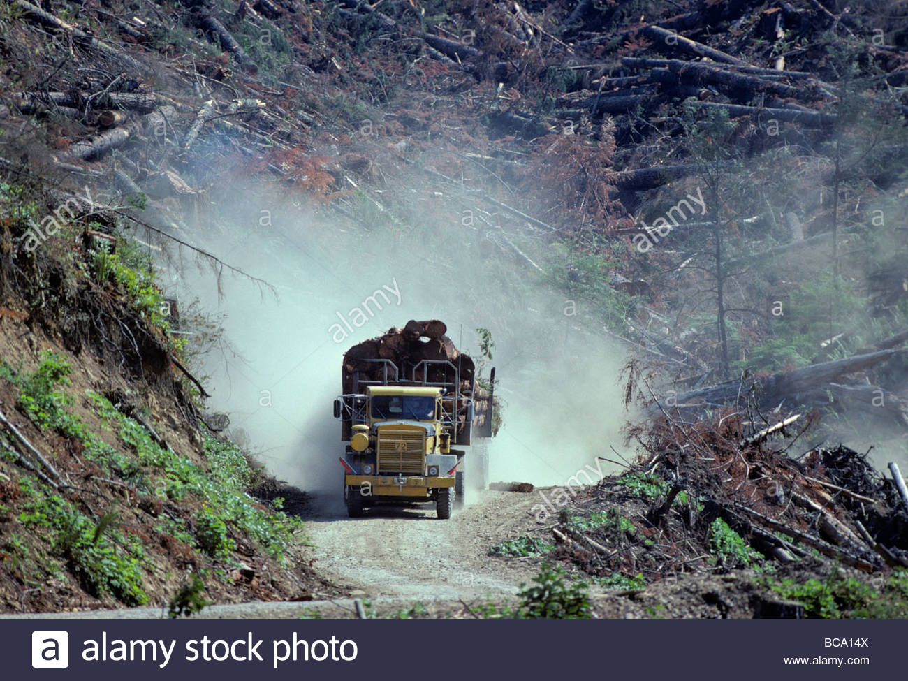 Logging In Washington State Stock Photos & Logging In Washington State ...
