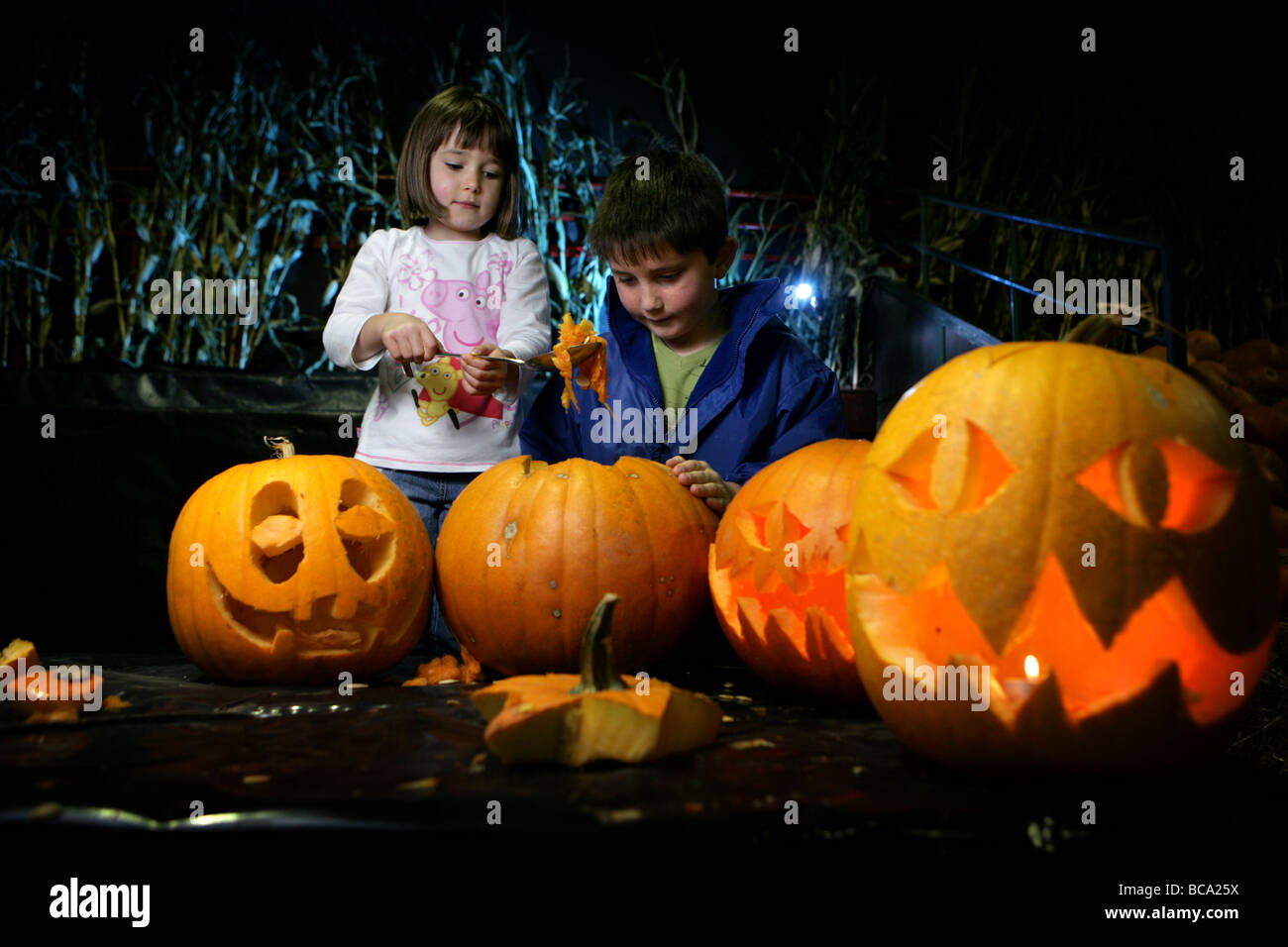 Children scoop out pumpkins for Halloween Stock Photo Alamy