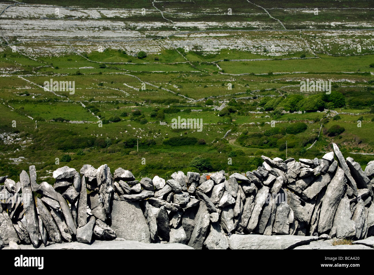 A view of a drystone wall and wall patterns in the Burren, Eire Stock Photo