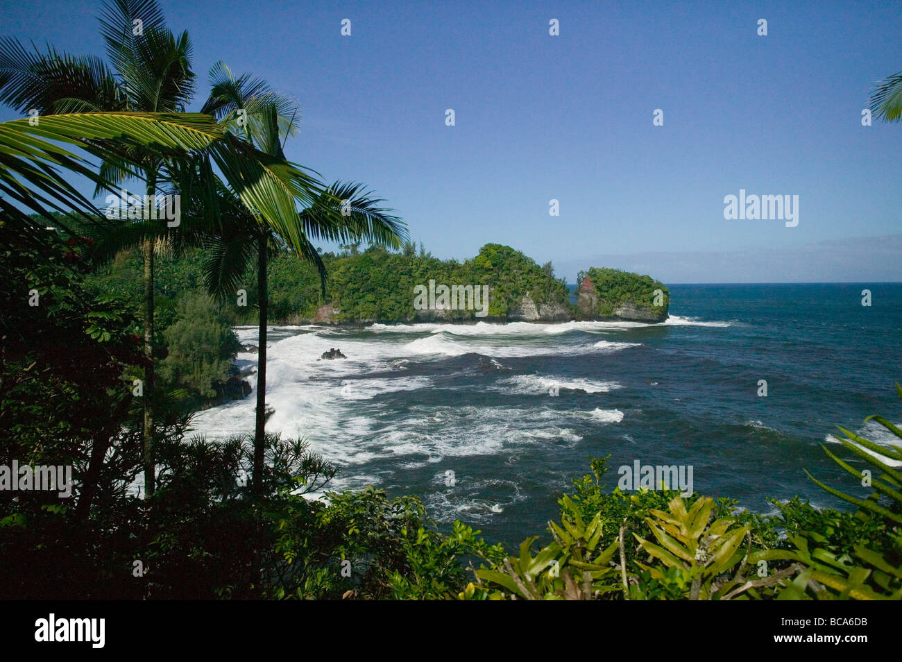 losing my gay virginity from Carter gay hawaii scene hilo