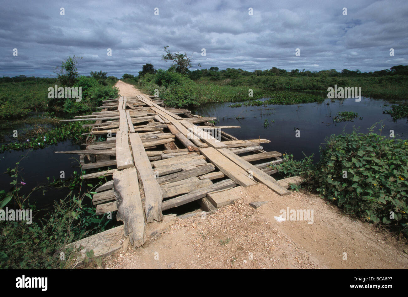Timber Bridge Transpantaneira Pantanal Mato Grosso Brazil Stock timber-bridge-transpantaneira-pantanal-mato-grosso-brazil-stock