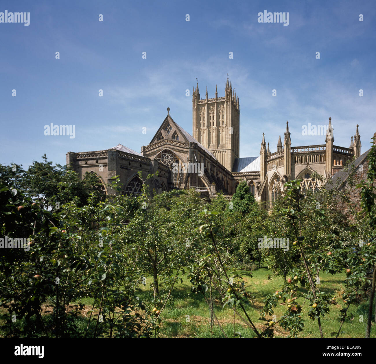 Wells Cathedral view of east end, with orchard. English Gothic. Stock Photo