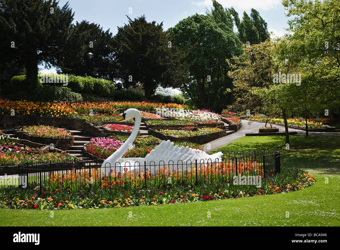 Floral display and the famous swan in Stapenhill Gardens, Burton upon Trent, Staffordshire Stock Photo