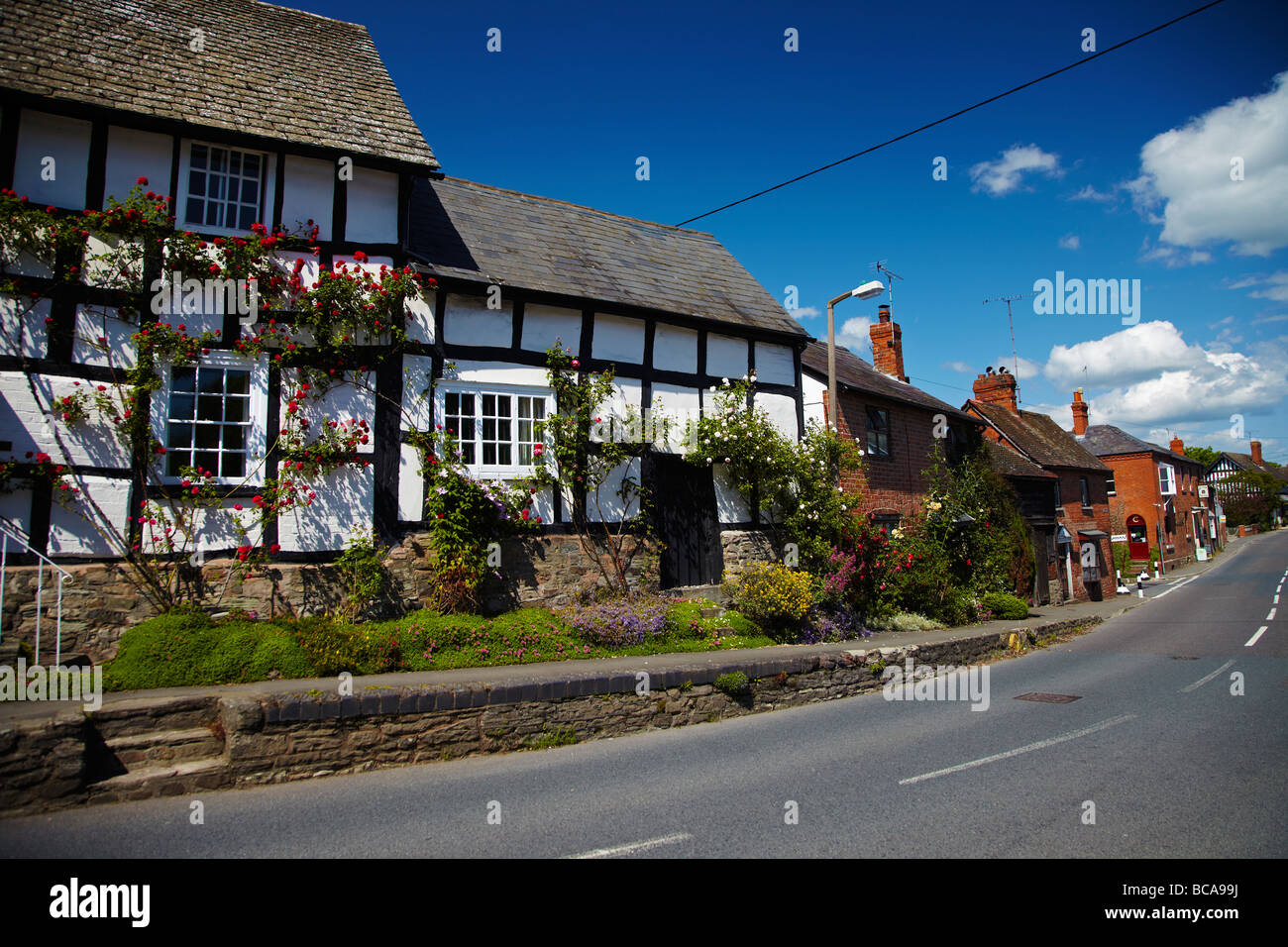 Half Timbered Medieval Houses Pembridge Village, near Leominster