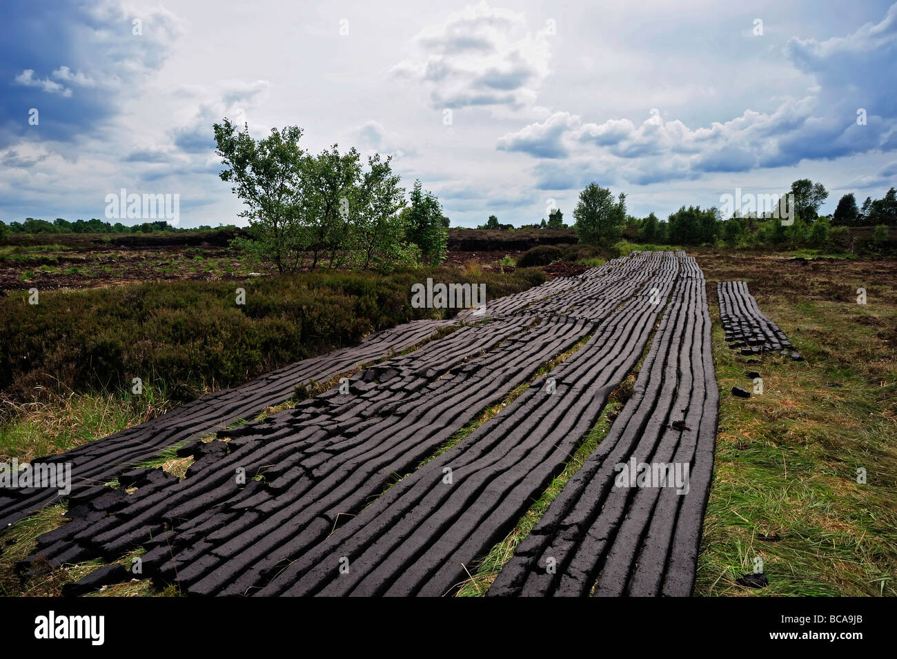 peat harvesting at Bog near Drumlish Co Longford Ireland Stock Photo