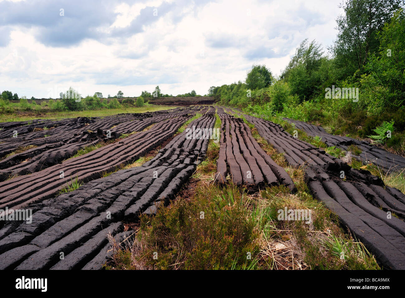 peat harvesting at Bog near Drumlish Co Longford Ireland Stock Photo
