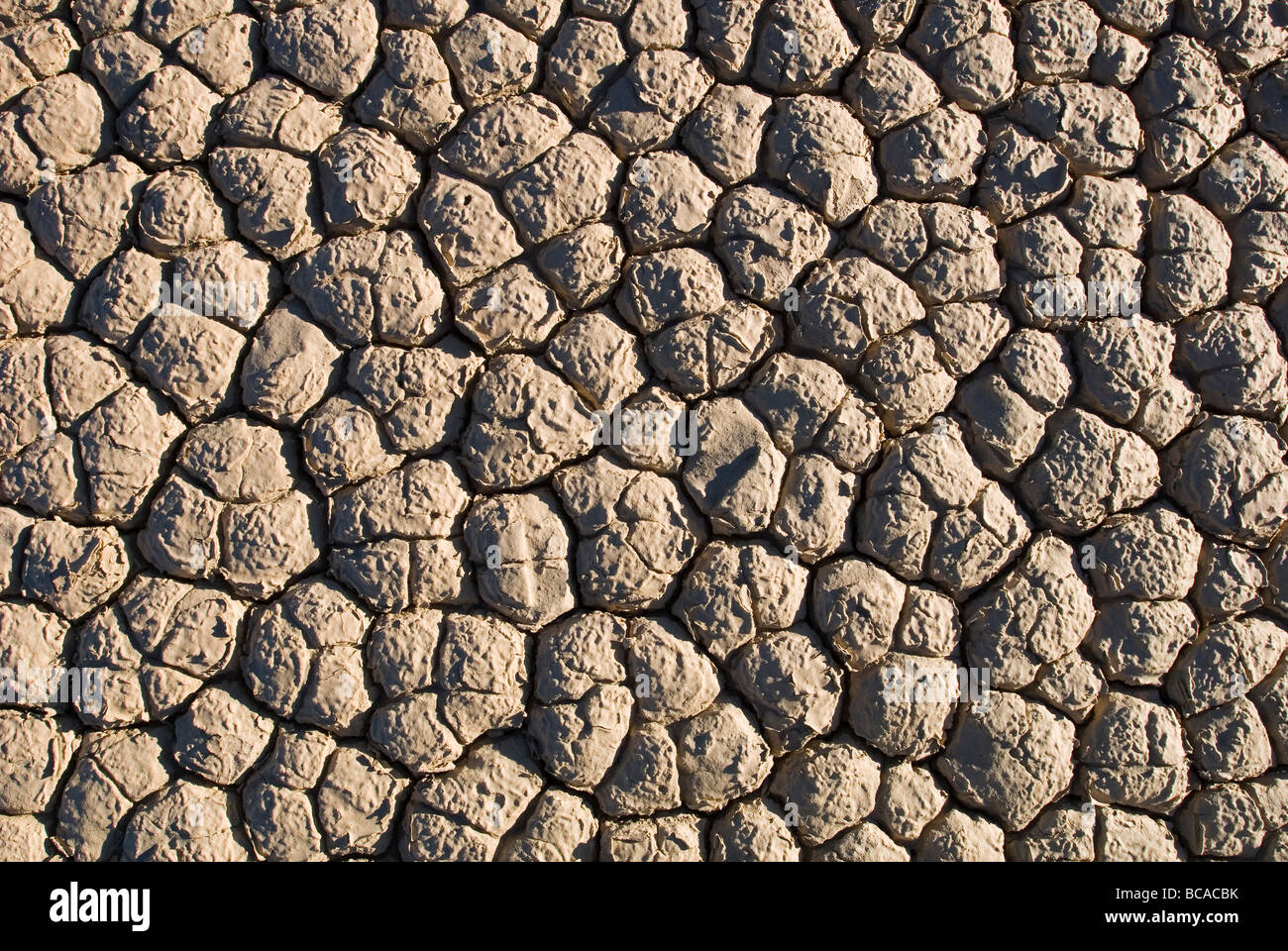 Dry mud patterns on The Racetrack in Death Valley. Stock Photo