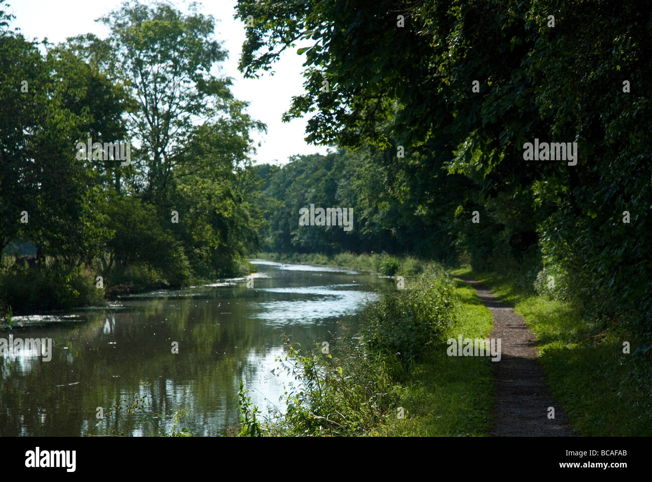 Lancaster Canal Path in Preston Stock Photo
