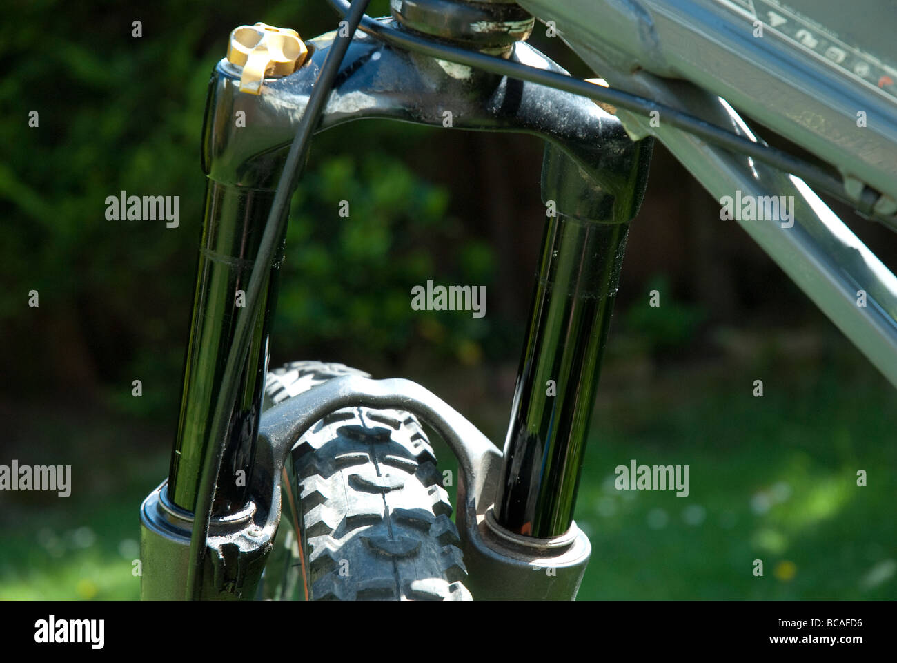 Front Forks of Mountain Bike Stock Photo Alamy