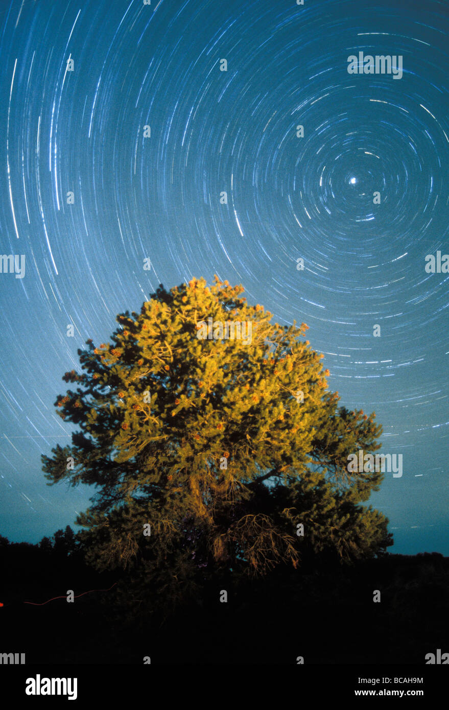 Startrails around north star hi-res stock photography and images - Alamy