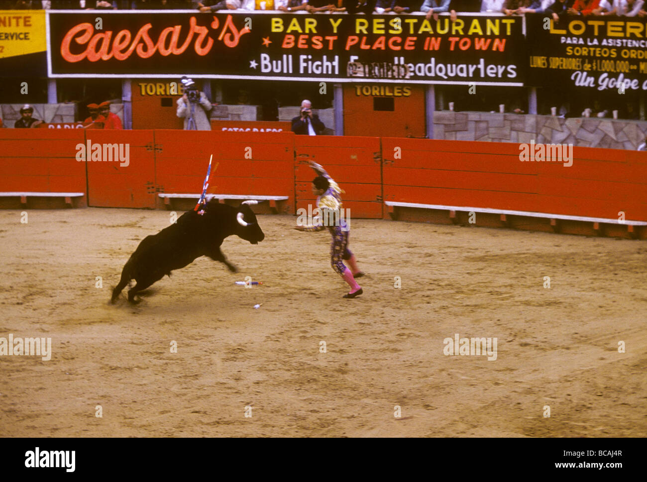 A man fights a bull in Tijuana, Mexico in 1960. Stock Photo