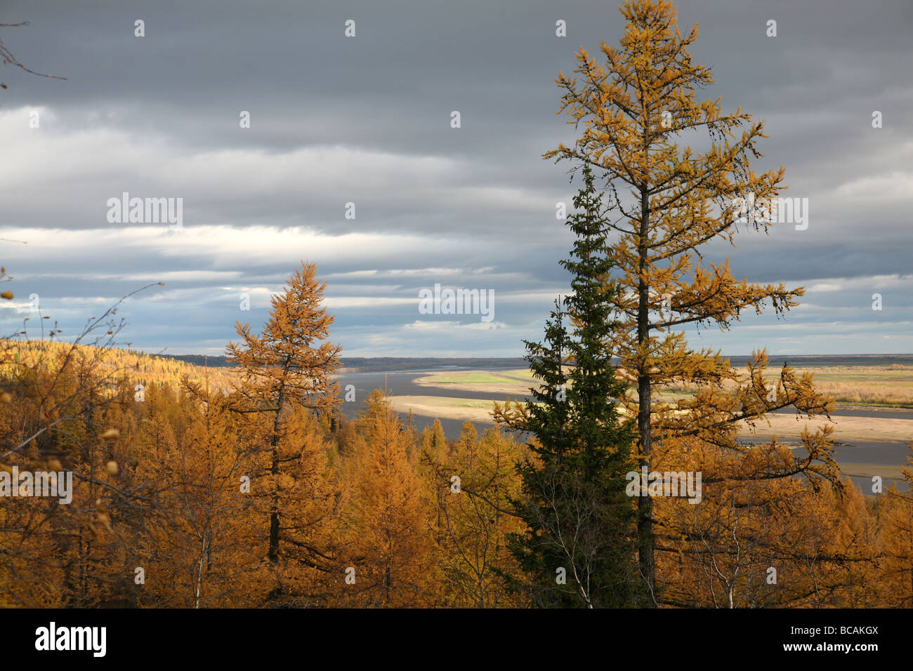 Yamal Peninsula, Tyumen region, North of West Siberia, Russia Stock Photo - Alamy