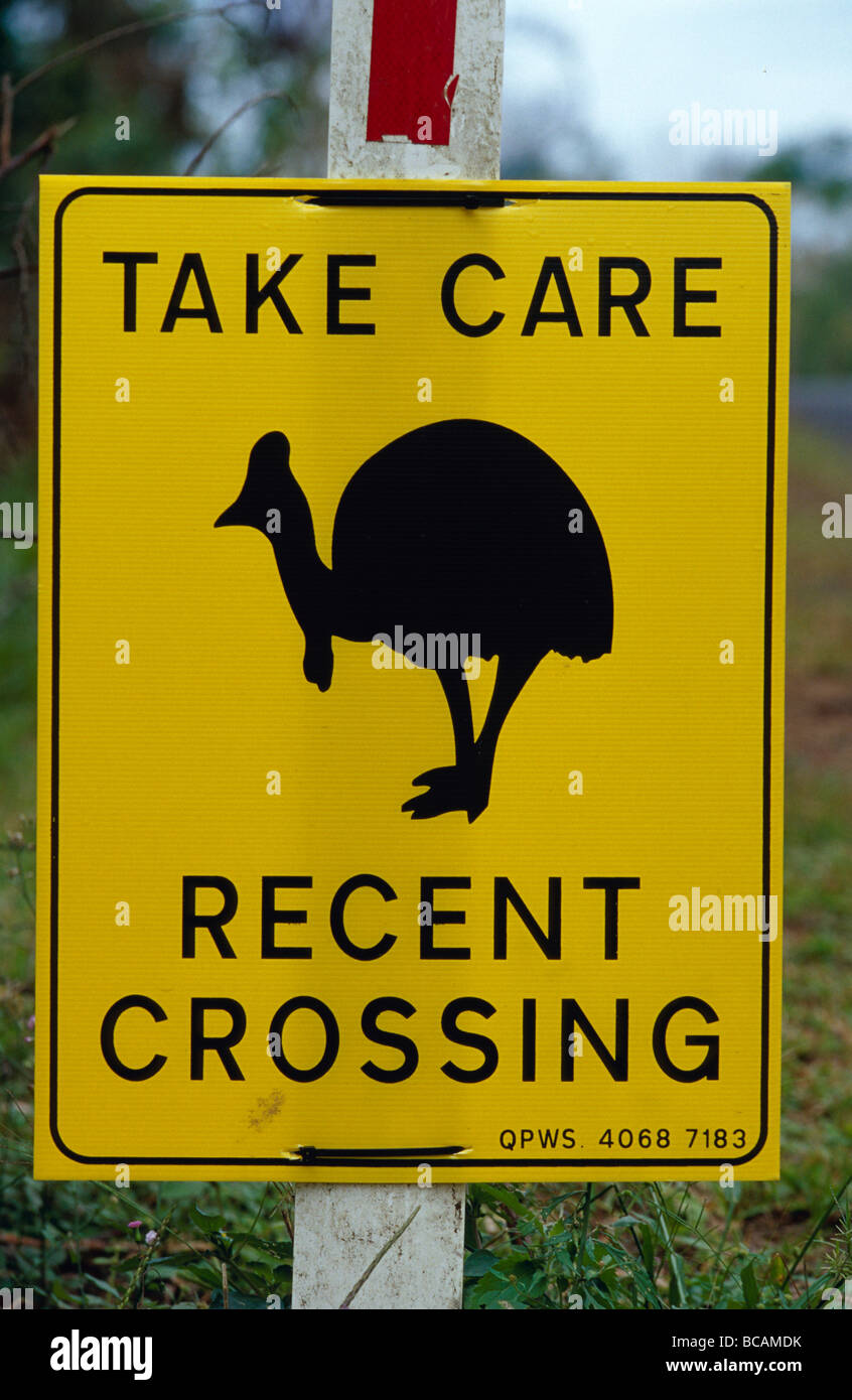 A roadside sign warning cars to avoid endangered Cassowaries. Stock Photo