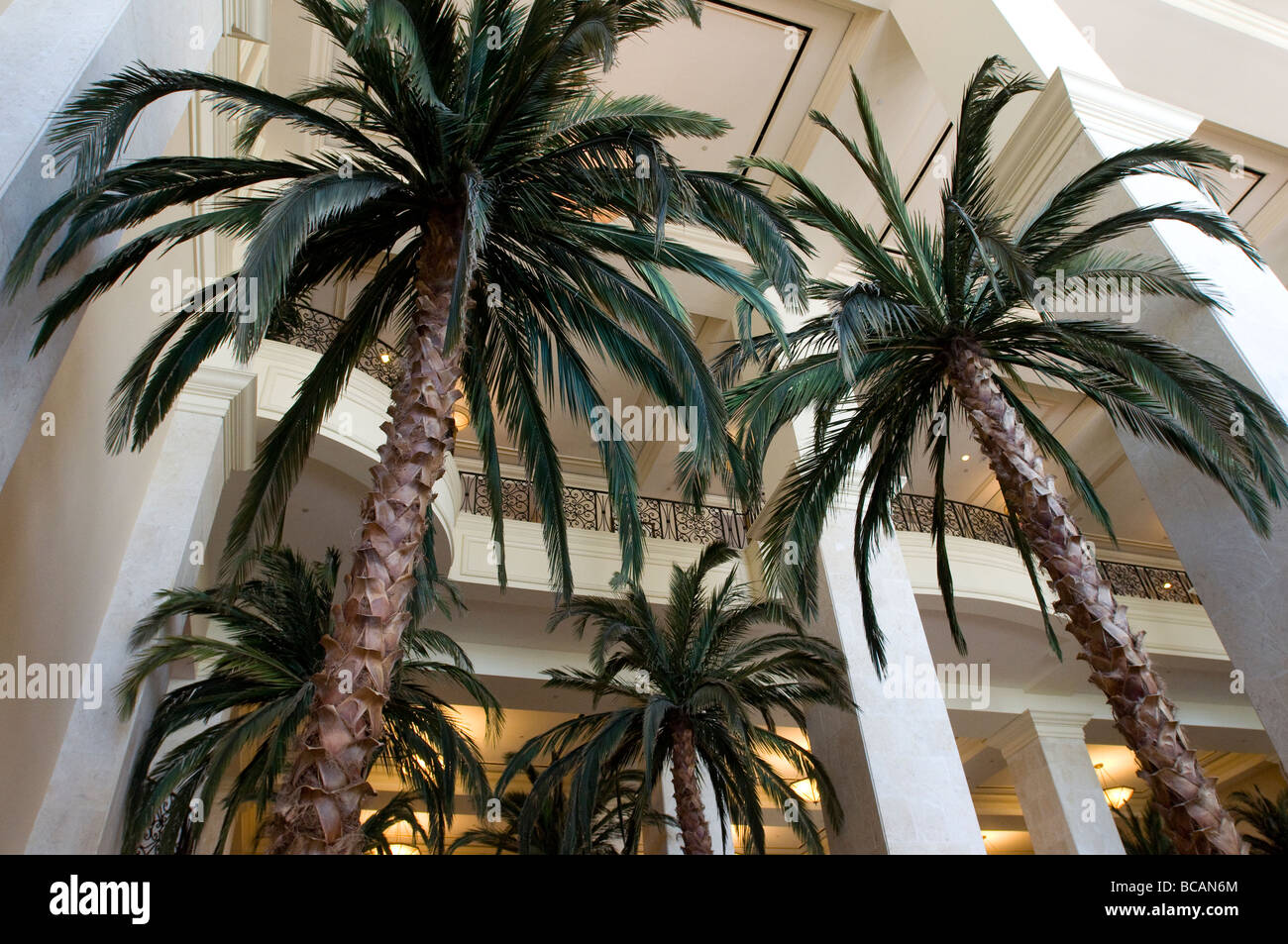 Palm trees inside a hotel lobby . Stock Photo
