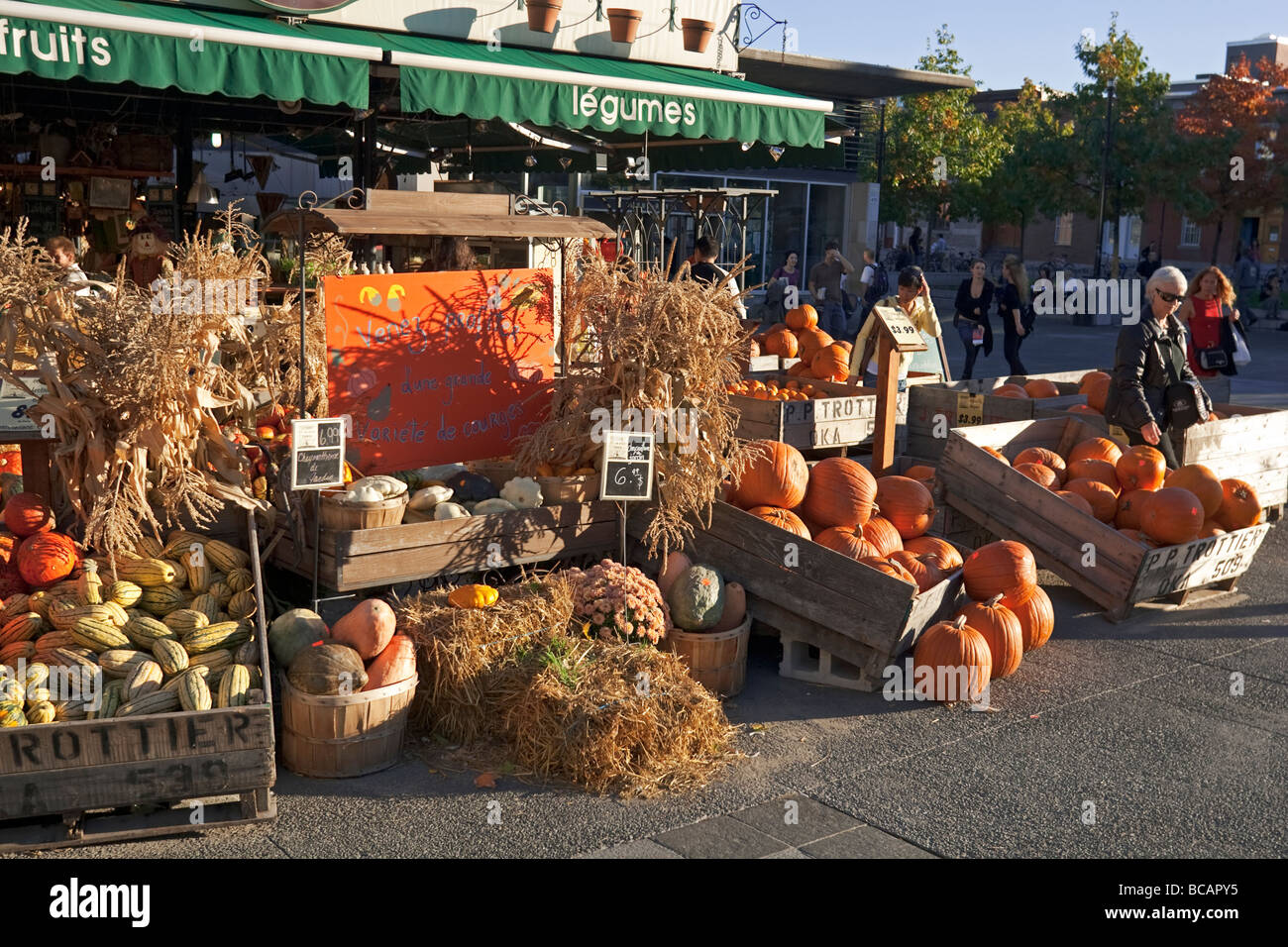 Pumpkins. Montreal, Canada. Stock Photo