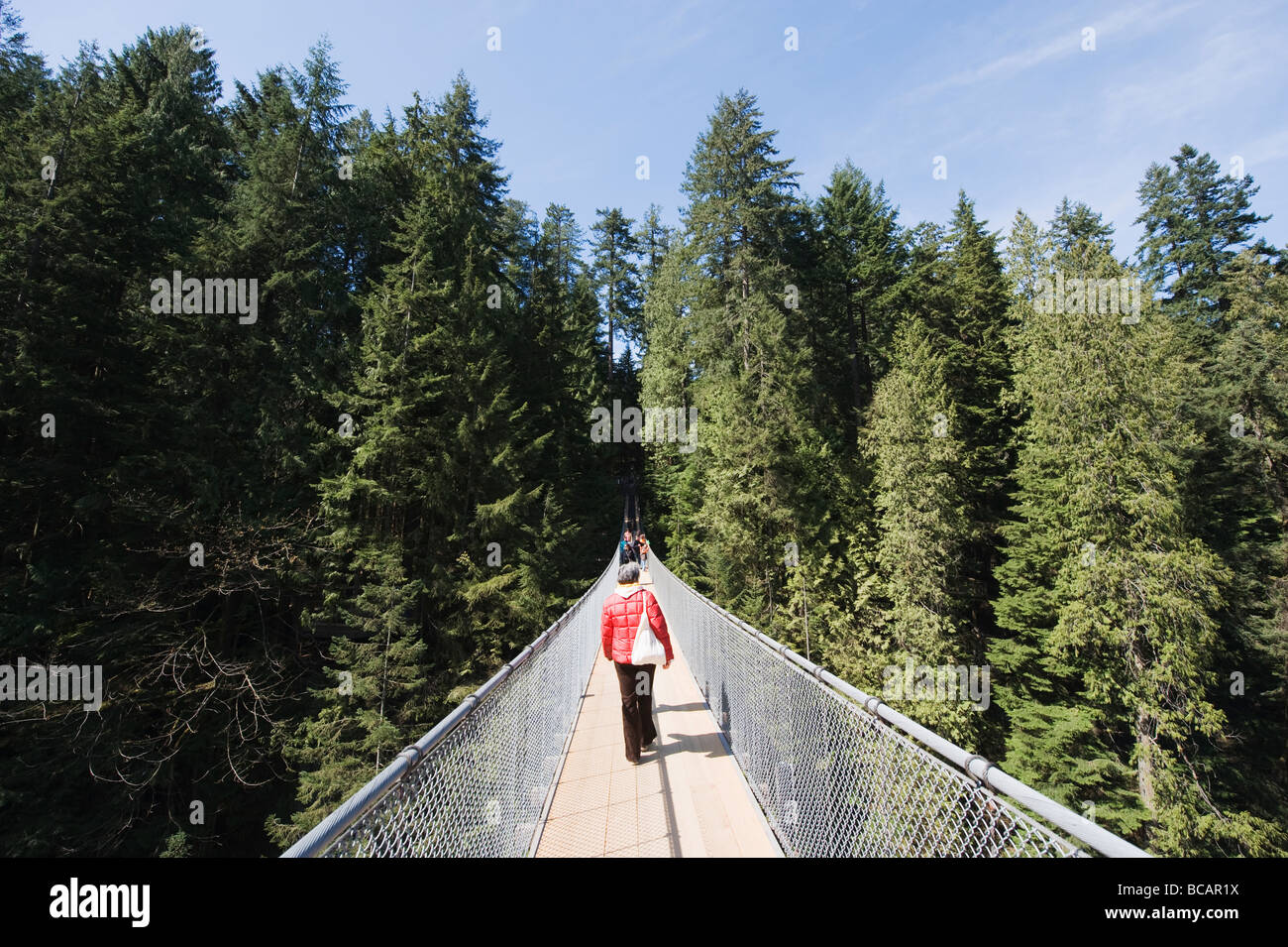 Capilano Suspension Bridge and Park Vancouver British Columbia Canada