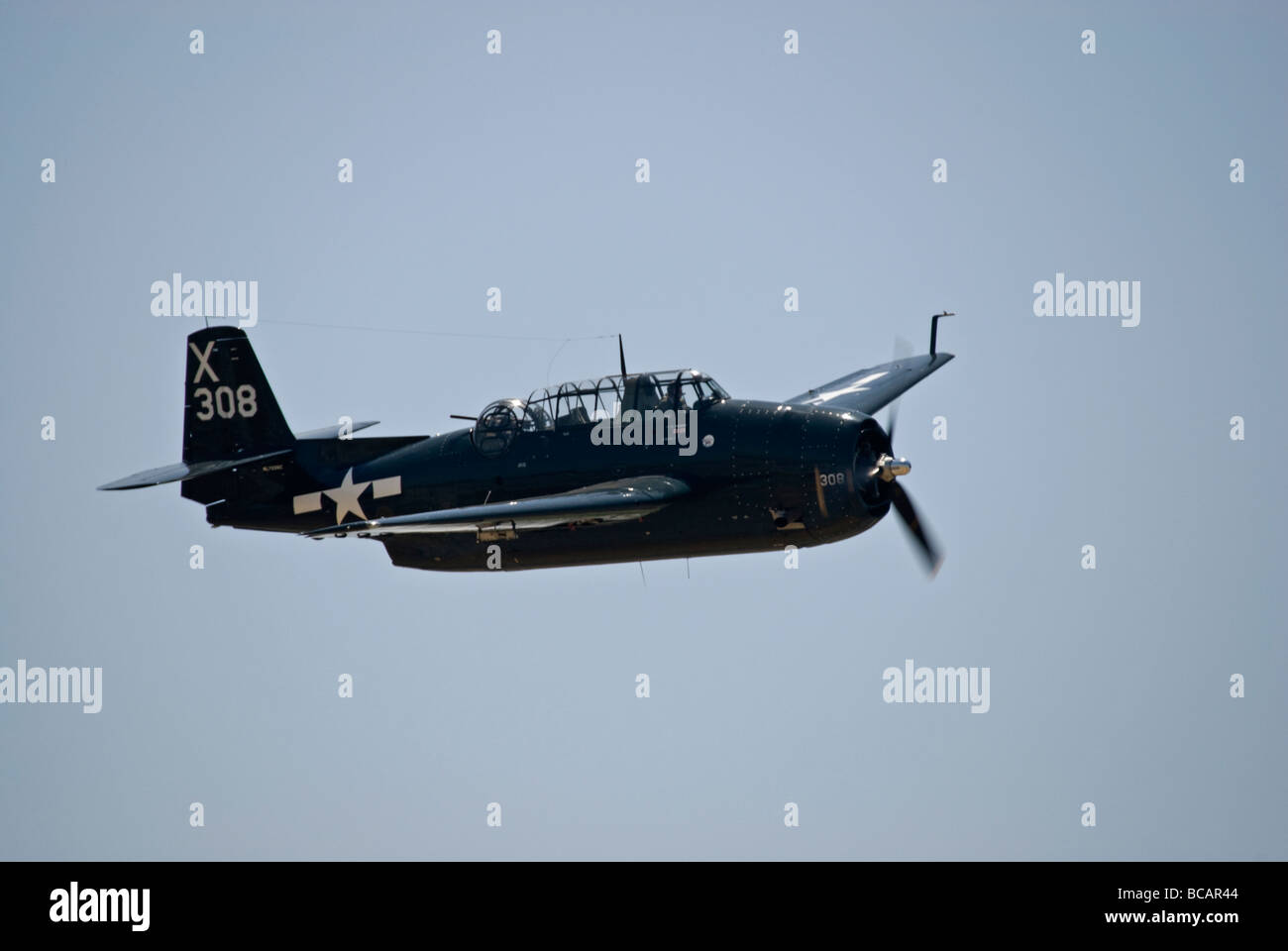 A Grumman TBM-3E Avenger in the air. Stock Photo