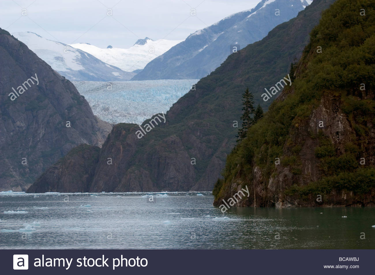 South Sawyer Glacier and the Coast Range. Stock Photo