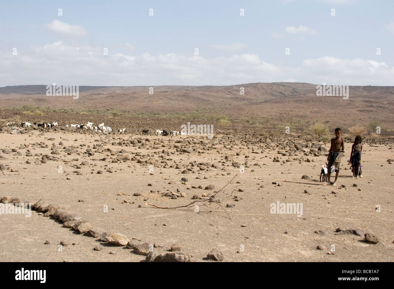 Dubti Afar region Afar kids tending goats in the desert Ethiopia Stock Photo