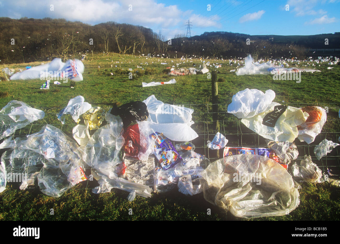 Plastic bags blown from a landfill site in Barrow in Furness Cumbria UK