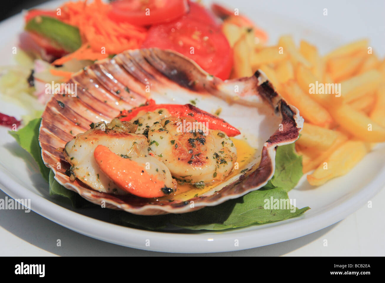 Scallops on the shell and plate of food in Jersey Channel Island, United Kingdom Stock Photo Alamy