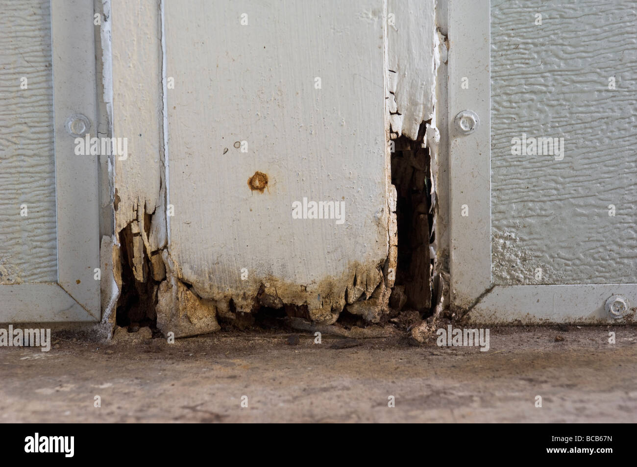 water damaged rotting wooden post Stock Photo Alamy