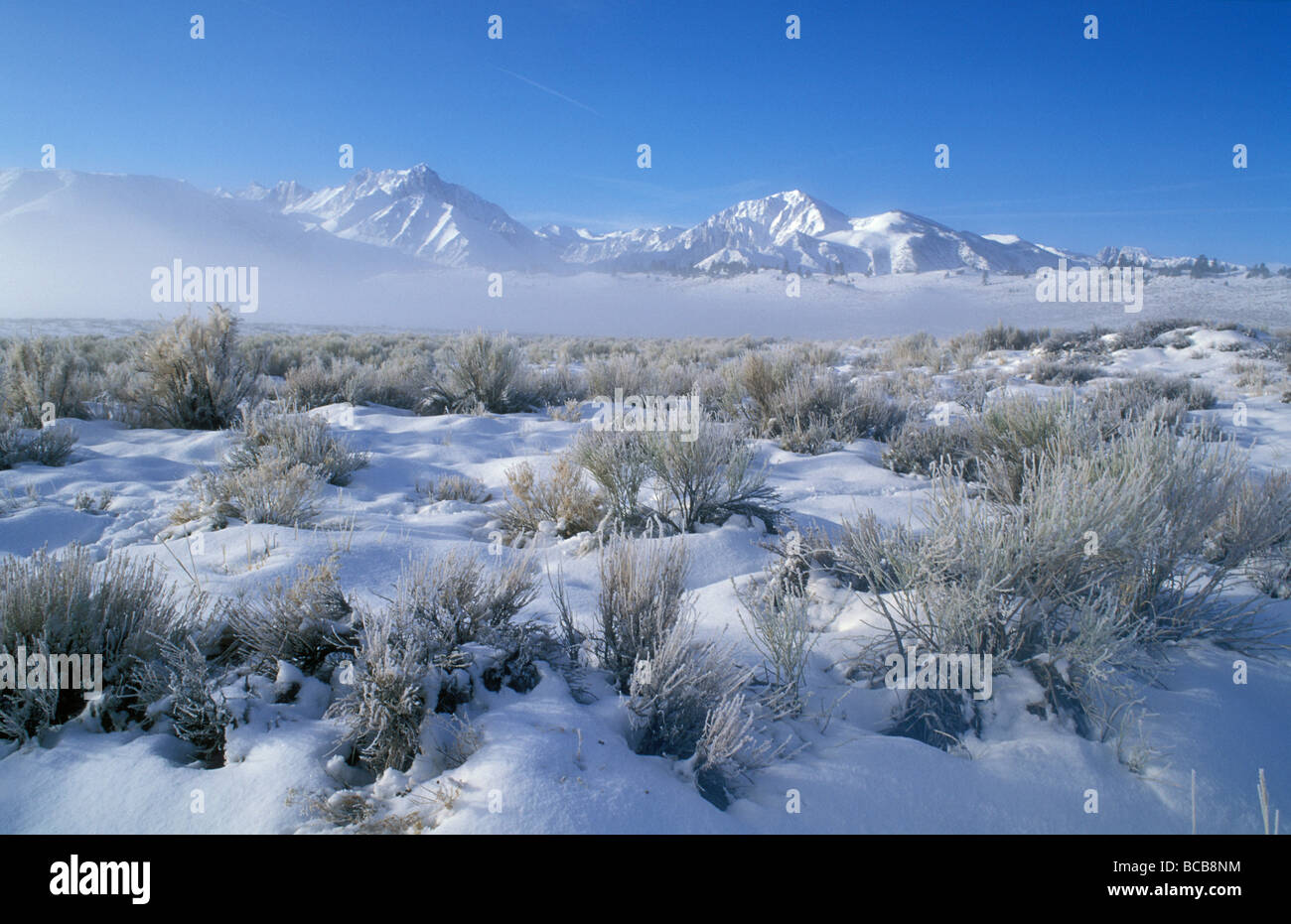 Fog covered valley hi-res stock photography and images - Alamy