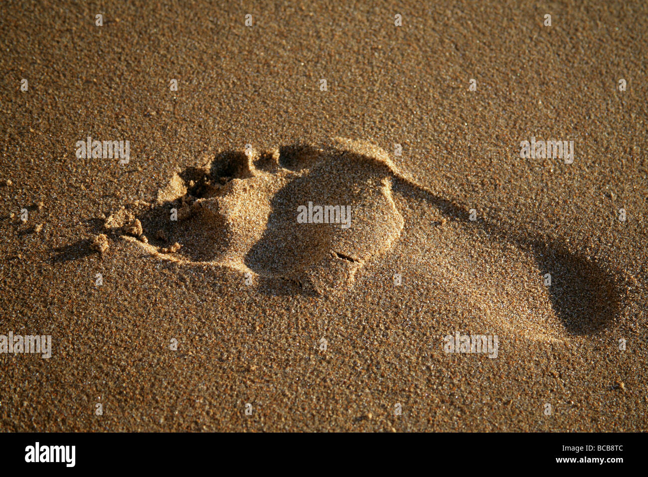 Footprint in the sand Stock Photo Alamy